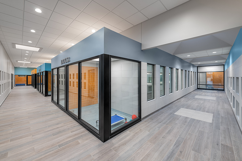 City of Garland Animal Shelter & Adoption Center Construction